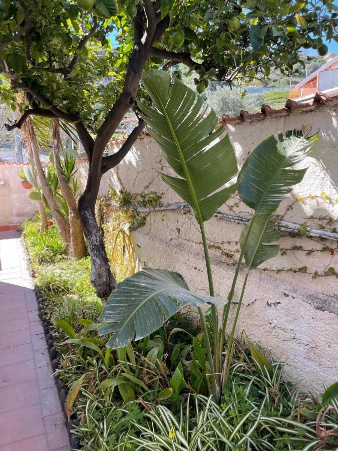Villa Alba Brucoli Εξωτερικό φωτογραφία